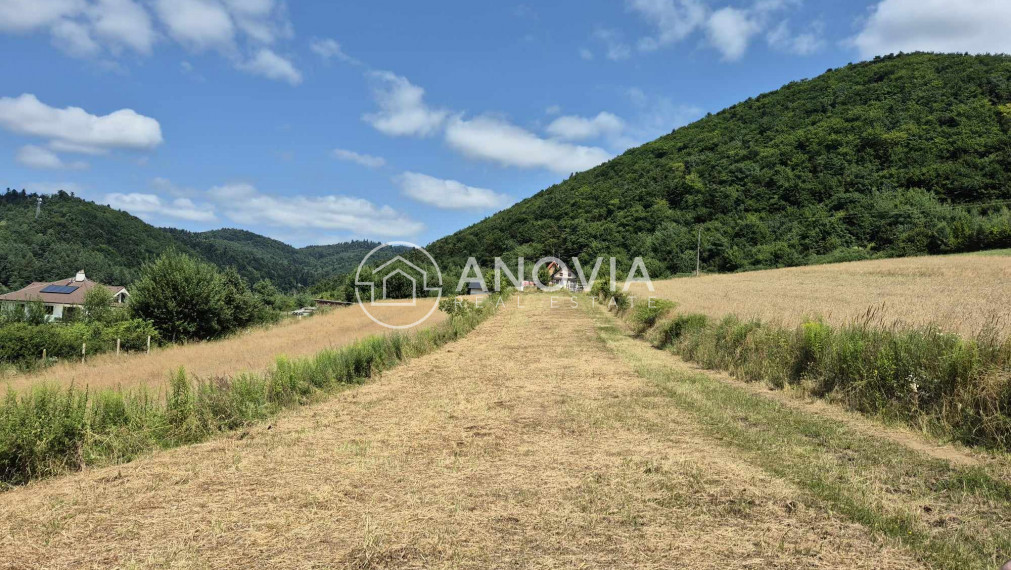 Pozemok na výstavbu chaty Drienica