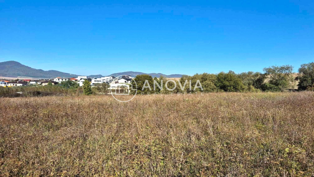 Pozemok pre viacero RD - ĽUBOTICE!!!