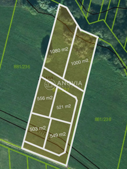 Pozemok pre viacero RD - ĽUBOTICE!!!