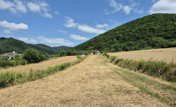 Pozemok na výstavbu chaty Drienica - fotografia 1