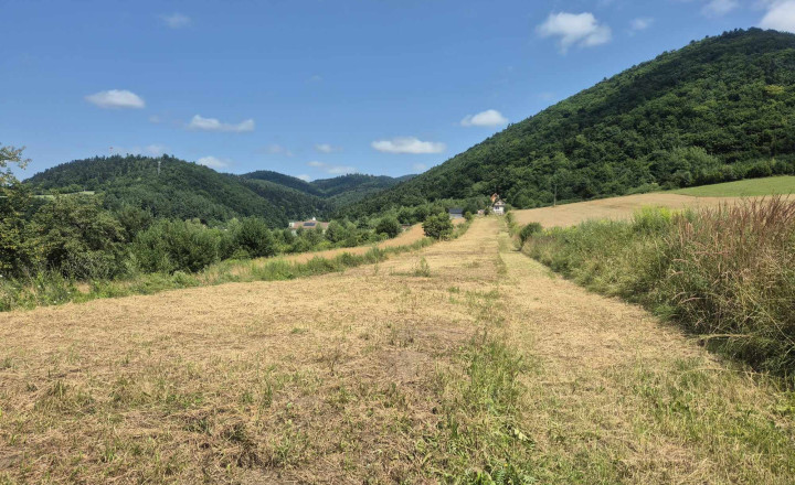 Pozemok na výstavbu chaty Drienica - fotografia 4