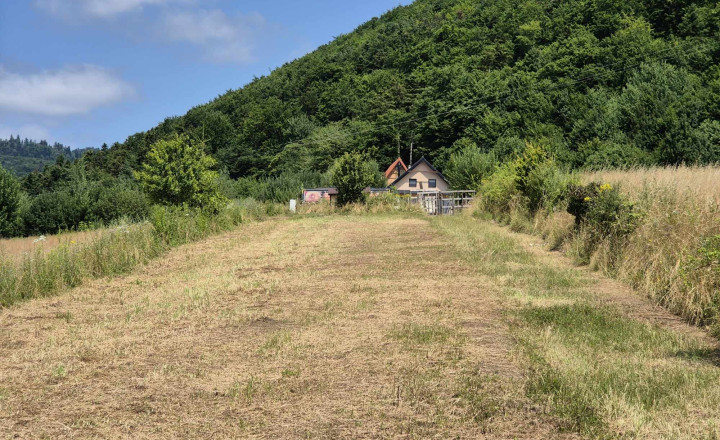 Pozemok na výstavbu chaty Drienica - fotografia 5