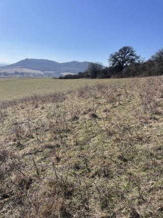 Pozemok určený na výstavbu - Podhorany - fotografia 3
